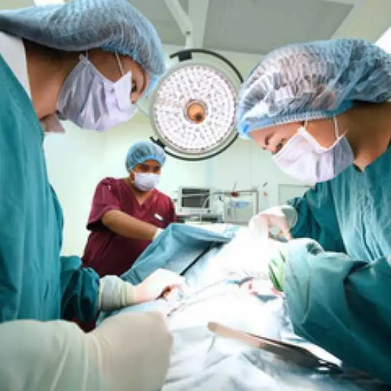 cirurgia de castração de gatos