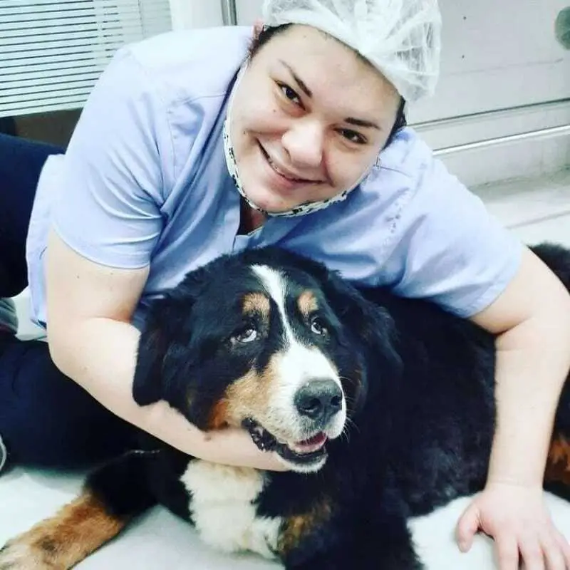 clínica veterinária para aves