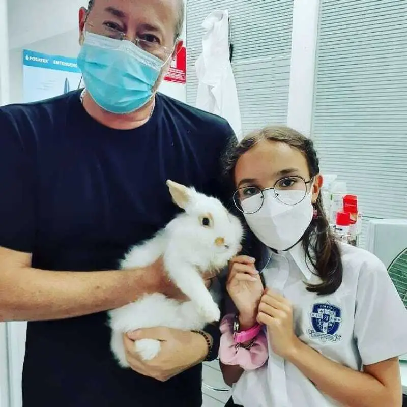 clínica veterinária bom retiro