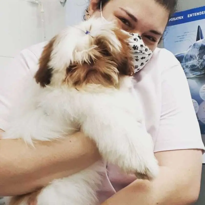 clínica veterinária com atendimento residencial