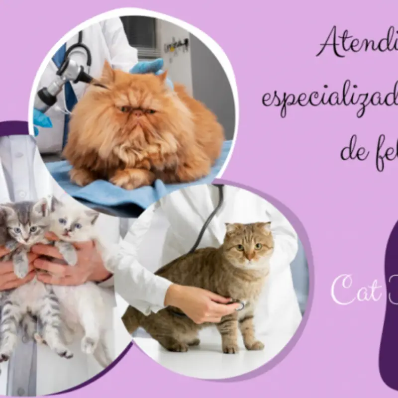 clínica veterinária integrativa