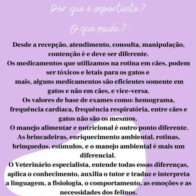 consulta de cachorro