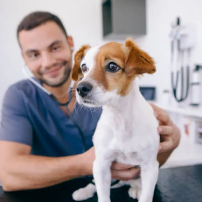 Vacina Importada para Cachorro