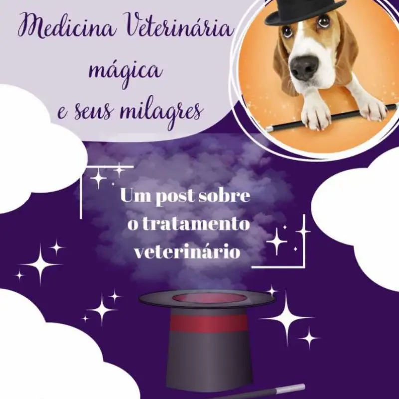 consulta para cachorro