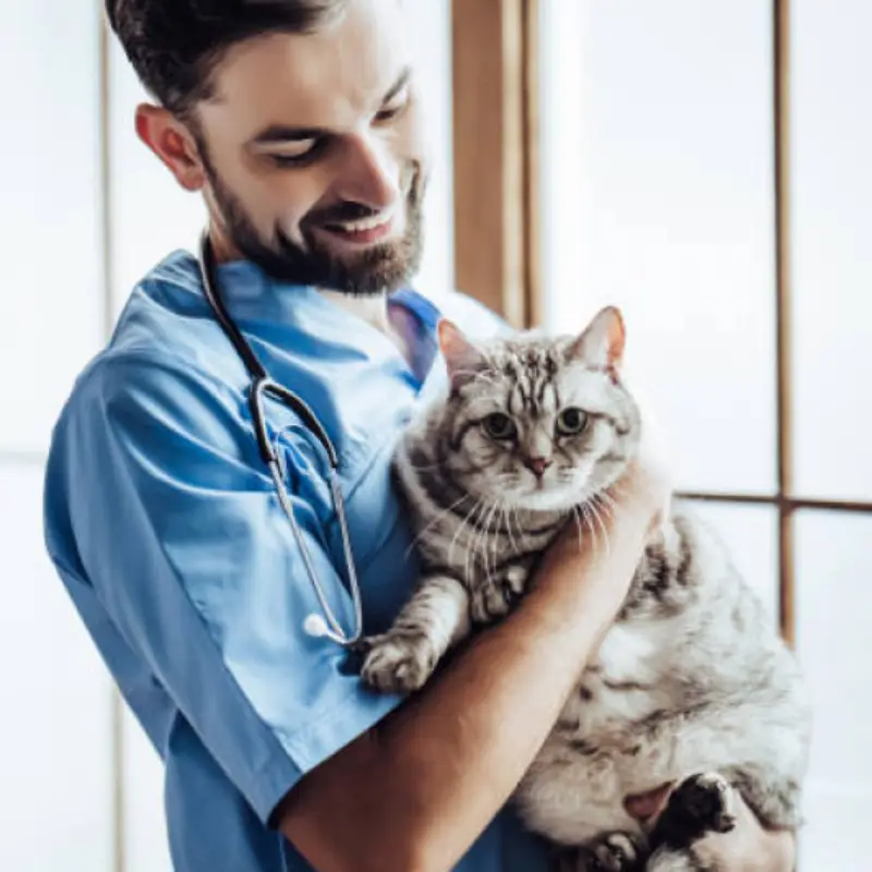 Homeopatia Cachorro Valores Consolação