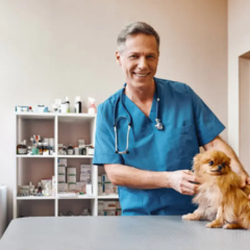 exames veterinarios