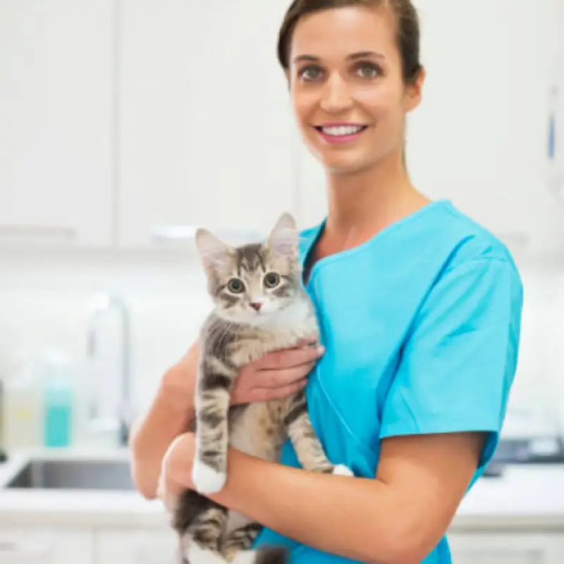 clínica veterinaria popular