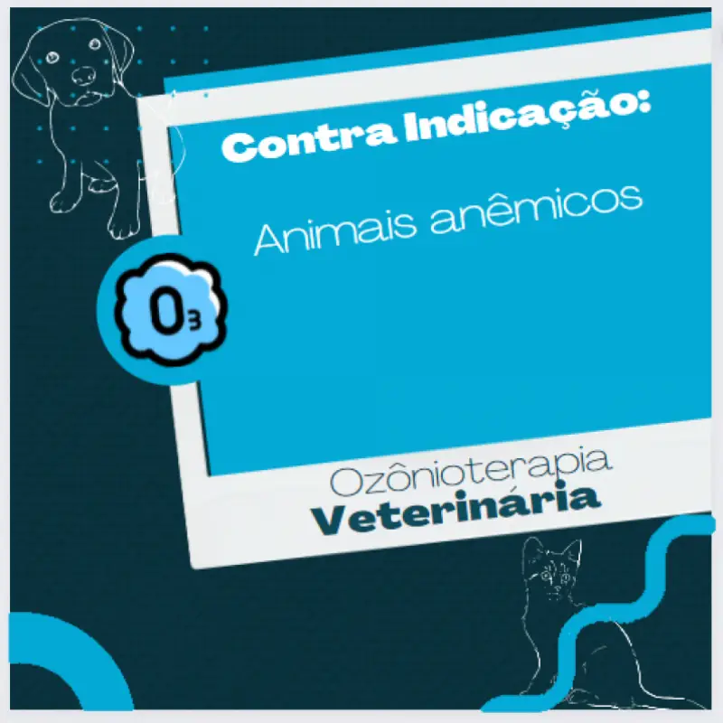 ozonioterapia em cachorro