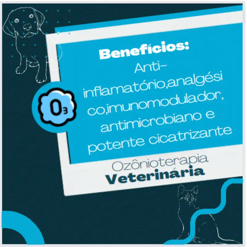 ozonioterapia para cachorro