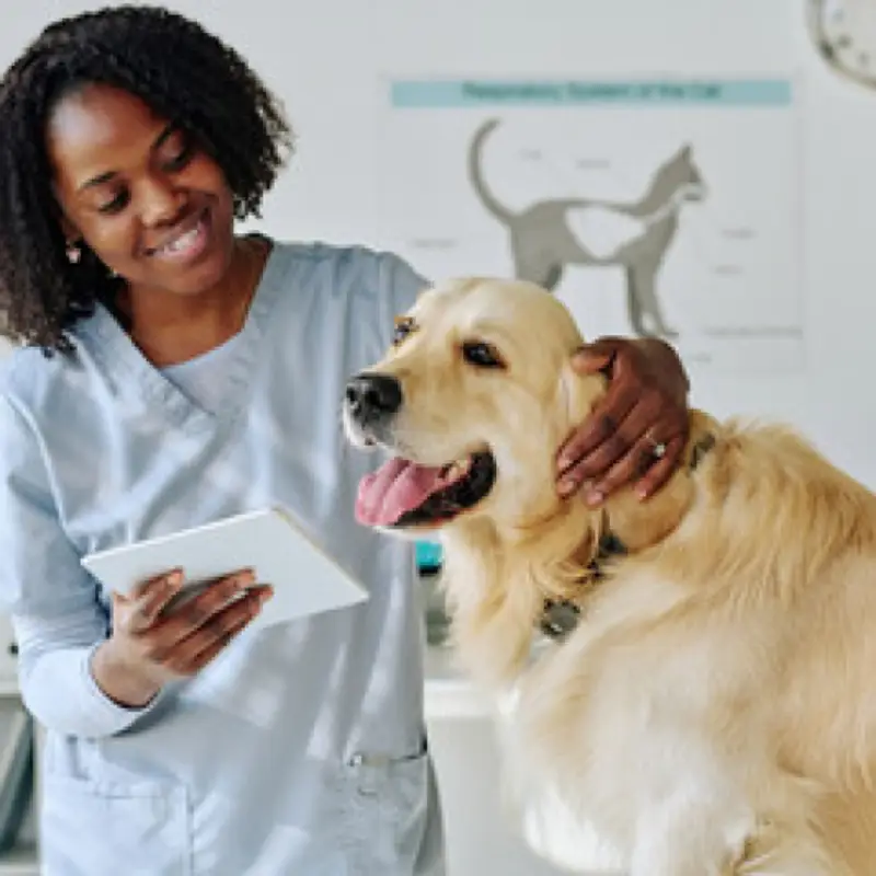ozonioterapia veterinária perto de mim