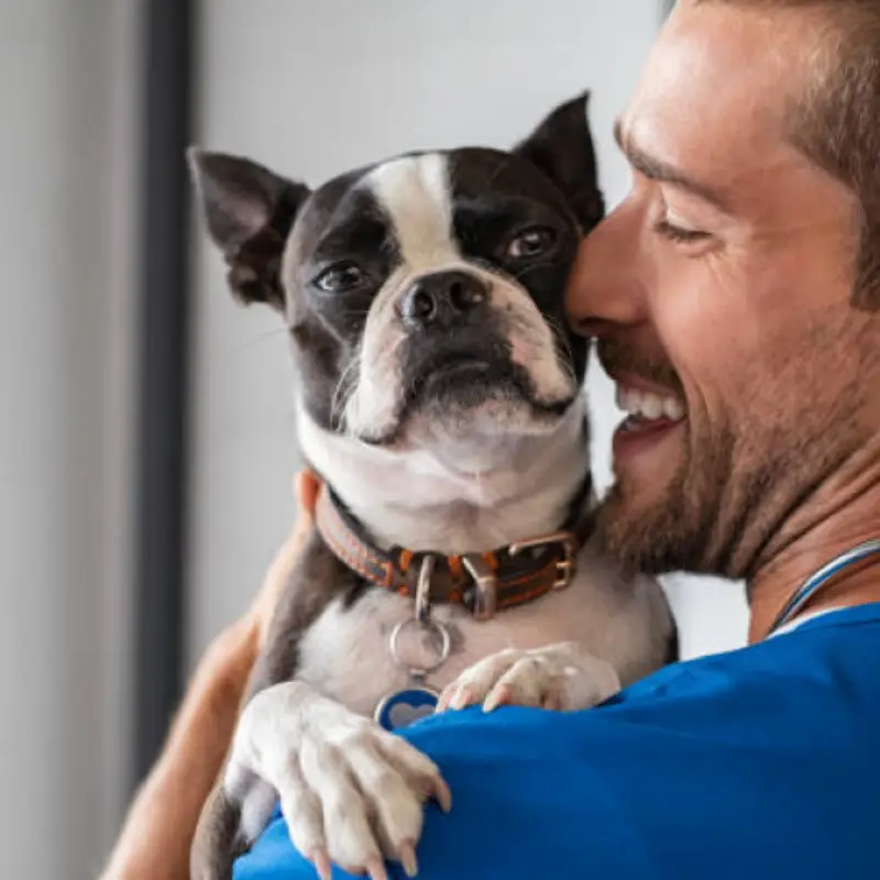Clínica Que Faz Vacina Filhote Cachorro Jardim Paulistano