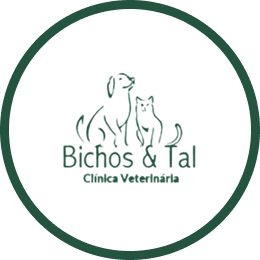 Bichos & Tal